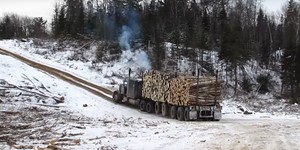 Big hill Peterbilt Logging 359 Classic